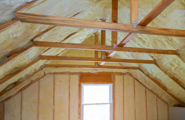 Best Insulation Maintenance and Repair in Griffith, IN